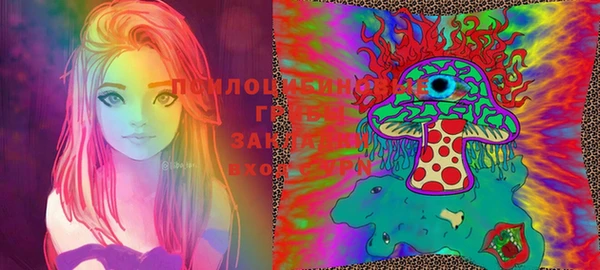 стаф Баксан