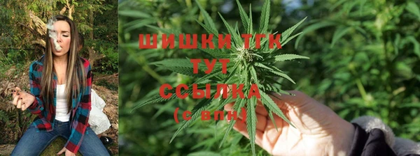стаф Баксан